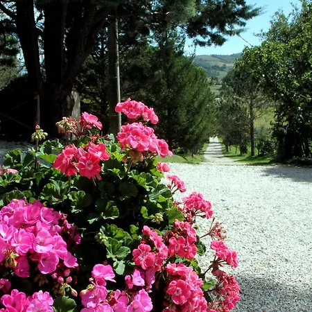 Apartament Mozart Nel Gubbio