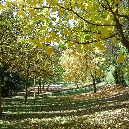 Mozart Nel Lejlighed *