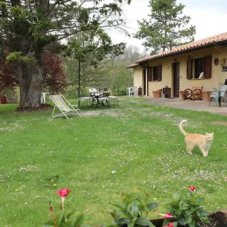 Mozart Nel Lejlighed *