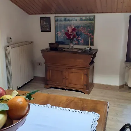 Mozart Nel