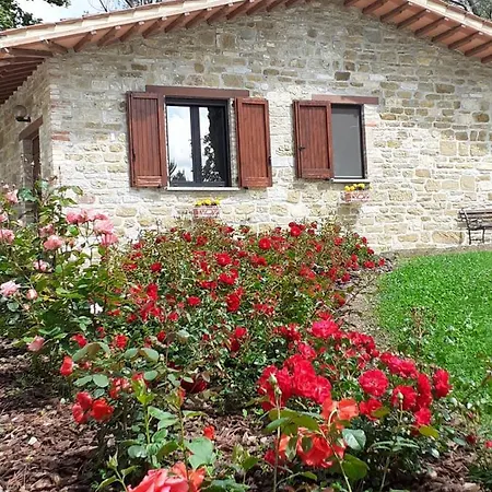 Mozart Nel Lejlighed