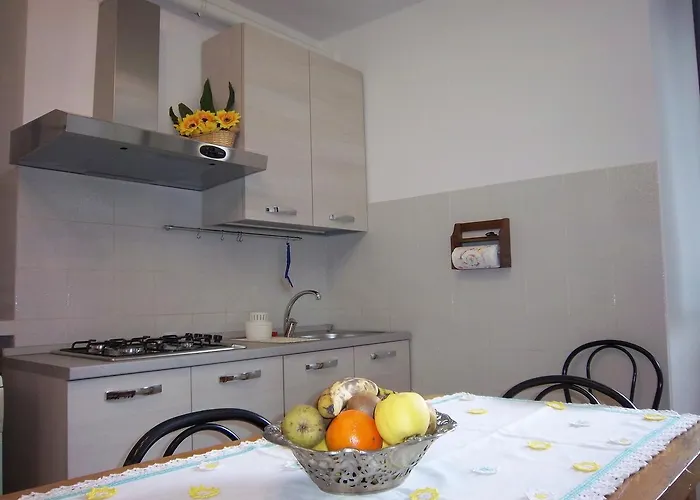 Mozart Nel Appartamento *